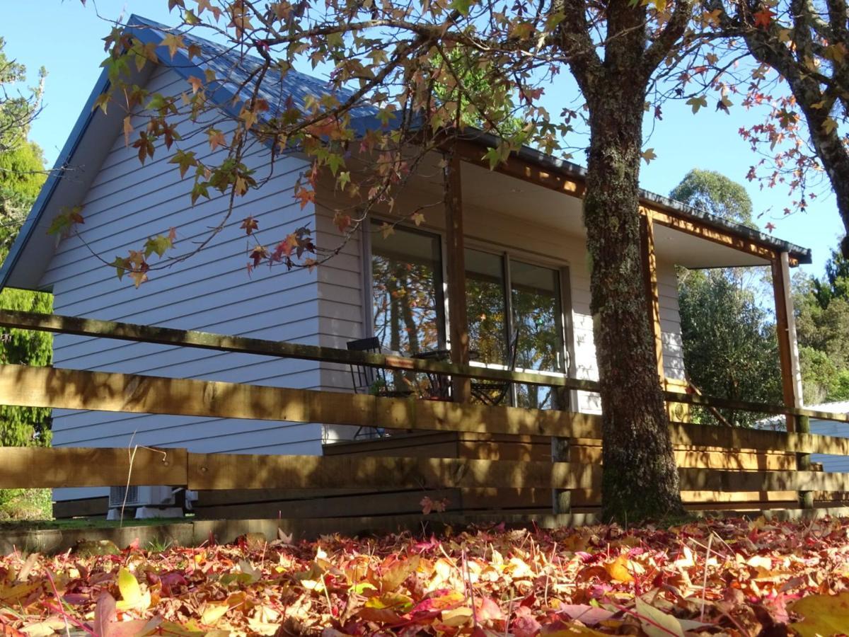 Mirror Creek Apartment Ruatapu
